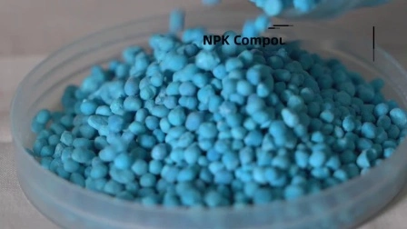 Compound NPK Fertilizer 21